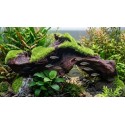 Décoration aquarium racine mousse Kozma