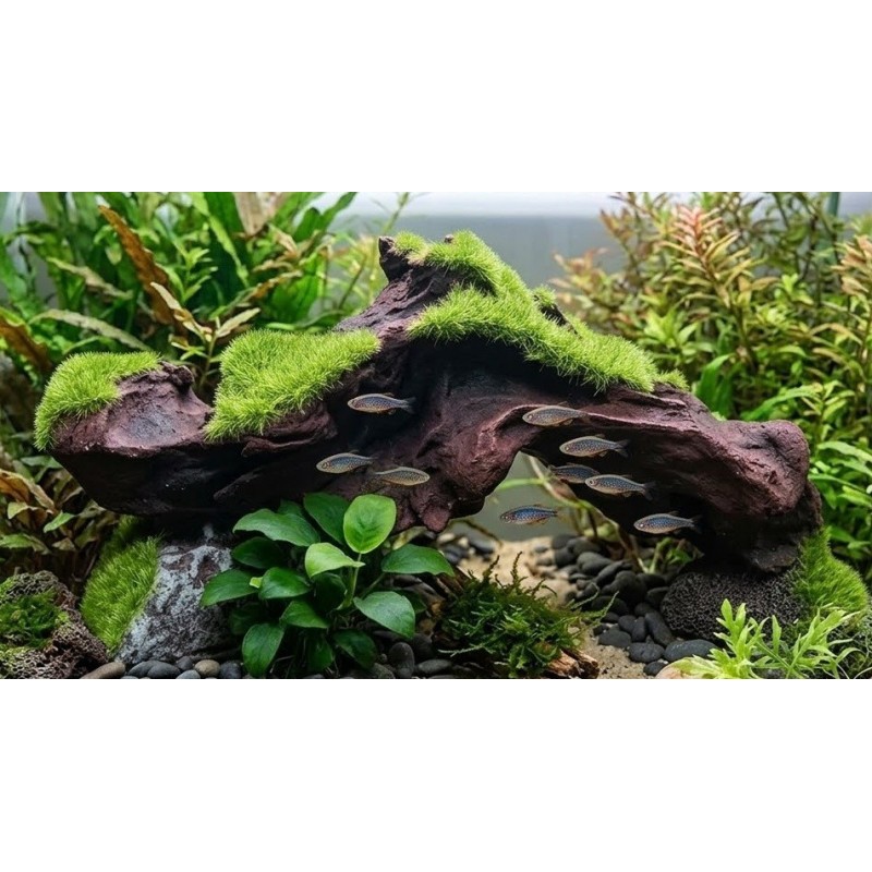 Décoration aquarium racine mousse Kozma