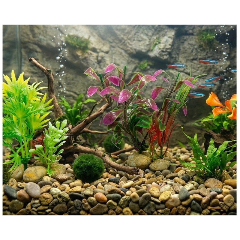 Lot 3 Plantes Aquarium Décoration Colorée avec Pierres 10 cm