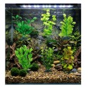 Plante décorative pour aquarium – Décoration Brasil (design aléatoire)