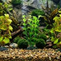 Plante décorative pour aquarium – Décoration Brasil (design aléatoire)