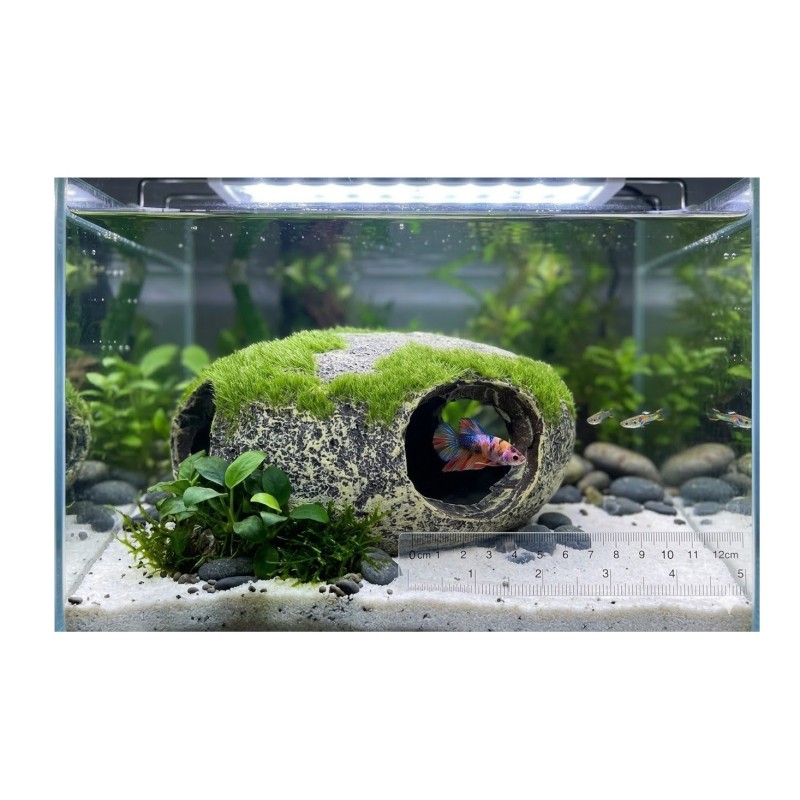 Décoration aquarium cachette galet Kozma