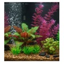 Plante décorative pour aquarium – Décoration Congo (modèle aléatoire)