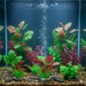Plante décorative pour aquarium – Décoration Congo (modèle aléatoire)
