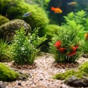 Plante Aquarium Décorative en Plastique et Polyrésine – Modèle Aléatoire