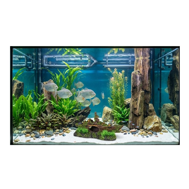 Décoration aquarium sous-marin cachettes poissons