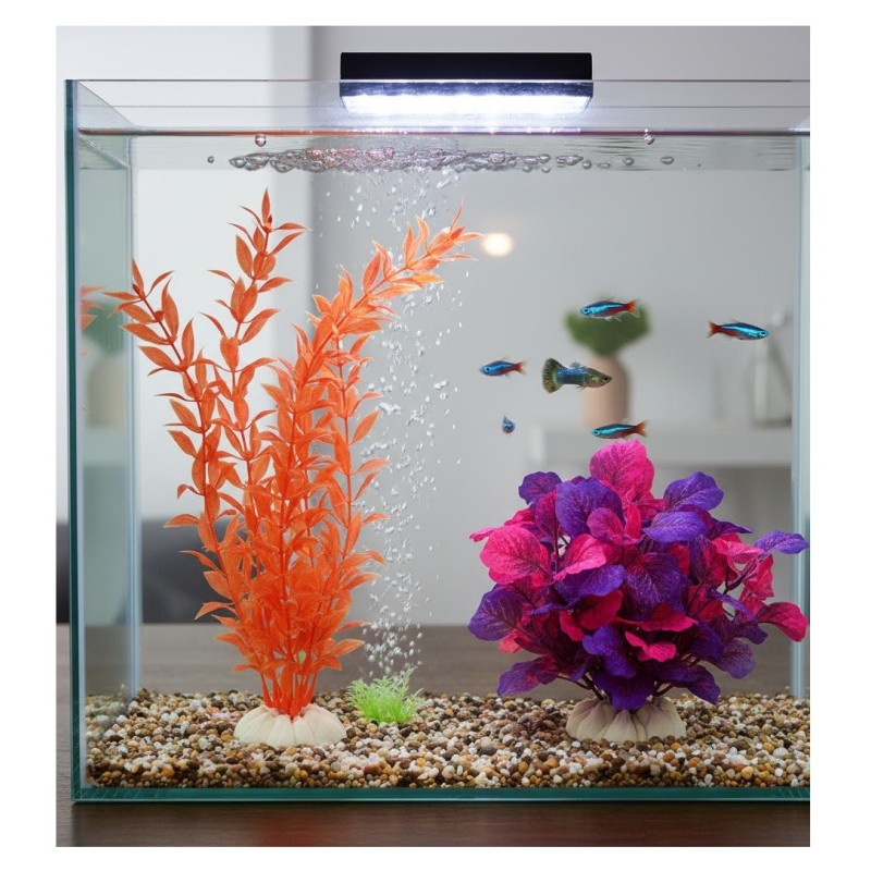 Plante Aquarium Cuba Orange – Décoration Tropicale (Modèle Aléatoire)