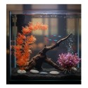 Plante Aquarium Cuba Orange – Décoration Tropicale (Modèle Aléatoire)