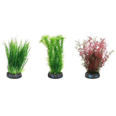 Plante décorative Sri Lanka pour aquarium, modèle aléatoire parmi 3 variantes, couleur verte naturelle