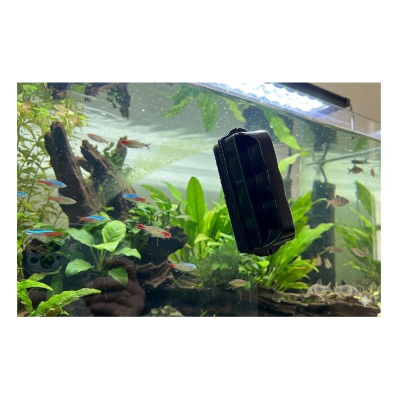 Nettoyeur d’algues magnétique Magix en plastique ABS
