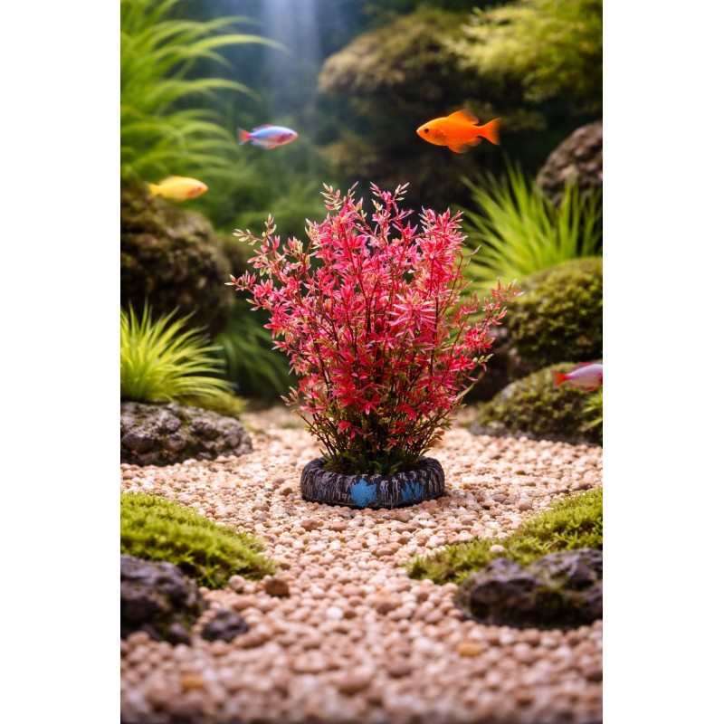 Plante Aquarium Sri Lanka – Décoration Tropicale (Modèle Aléatoire)