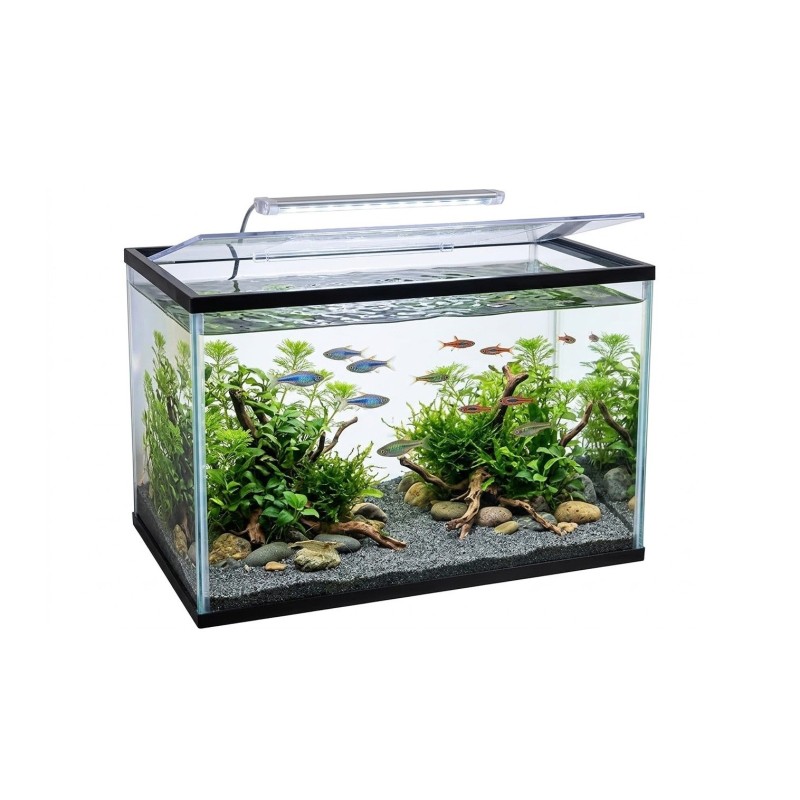 Aquarium 16L avec filtre 5W, gravier coloré et épuisette