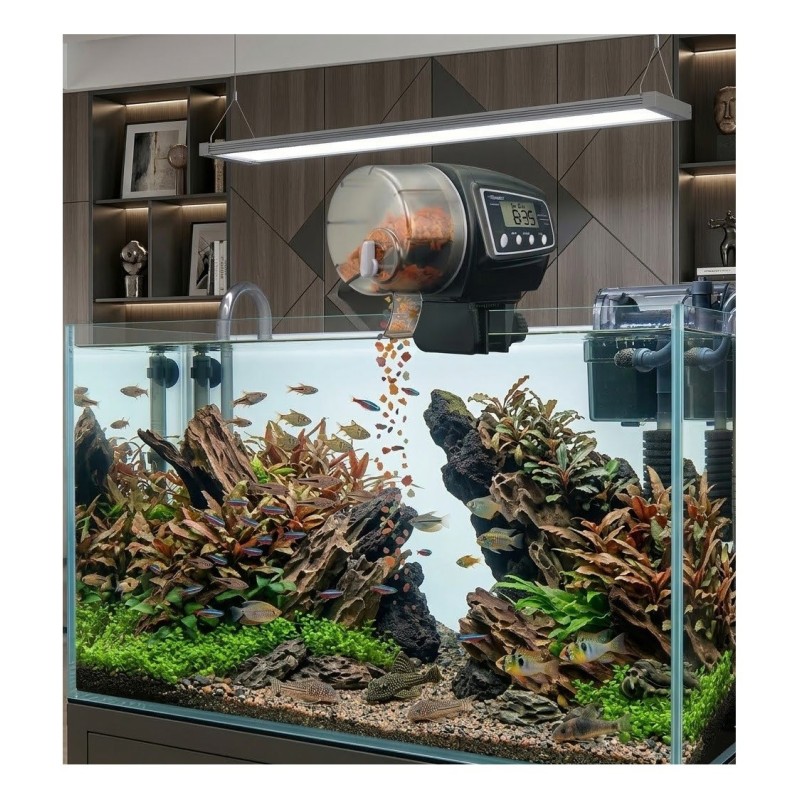 Distributeur Automatique de Nourriture pour Poissons – Noir