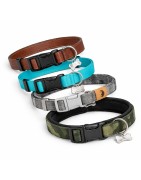 Collier pour chien