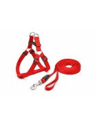 Laisse Harnais chien