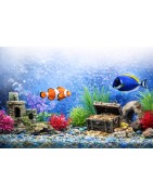 Décoration d'aquarium